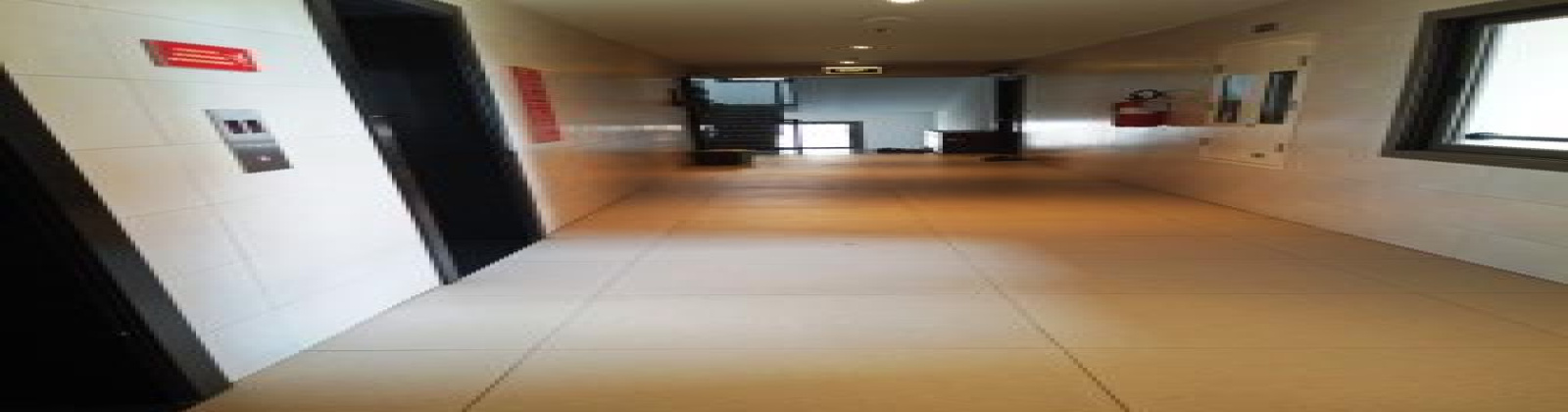 Marbled Floorings